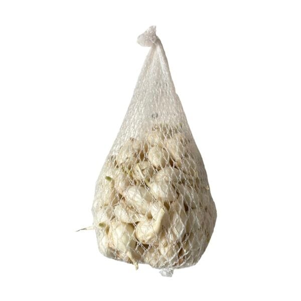 8588002952104-600x600 Cibuľka sadzačka biela SNOWBALL /8-15mm/ 250g – Obrázok 1
