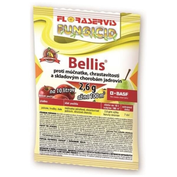 1396813968-600x600 FLORASERVIS Bellis 2,6g – Obrázok 1