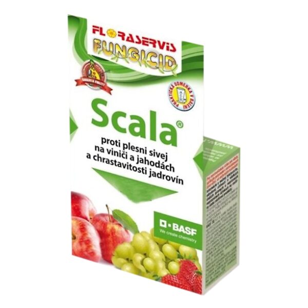 8586002980424-600x600 FLORASERVIS Scala 50ml – Obrázok 1