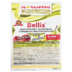 FLORASERVIS Bellis 13g